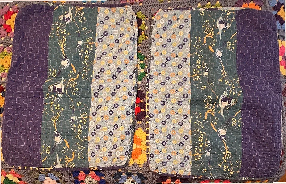 Lush Decor Pillow Shams Set of 2 Bird and Floral Pattern 20"x26"